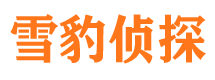 宜秀侦探公司